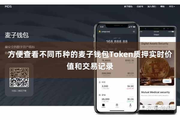 方便查看不同币种的麦子钱包Token质押实时价值和交易记录
