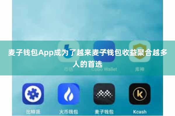 麦子钱包App成为了越来麦子钱包收益聚合越多人的首选
