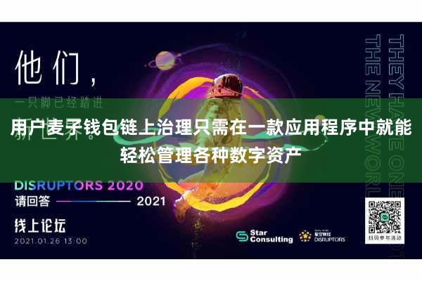 用户麦子钱包链上治理只需在一款应用程序中就能轻松管理各种数字资产