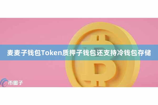 麦麦子钱包Token质押子钱包还支持冷钱包存储