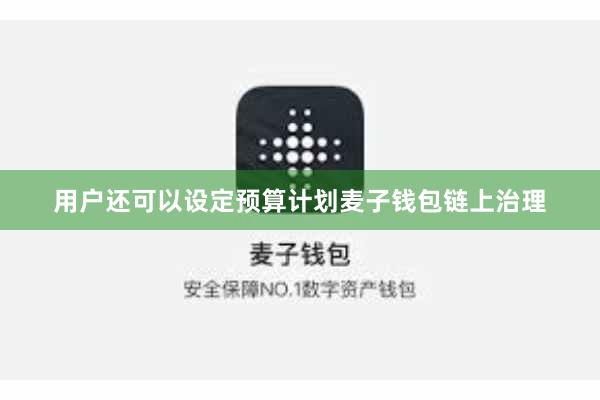 用户还可以设定预算计划麦子钱包链上治理