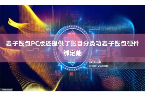 麦子钱包PC版还提供了账目分类功麦子钱包硬件绑定能