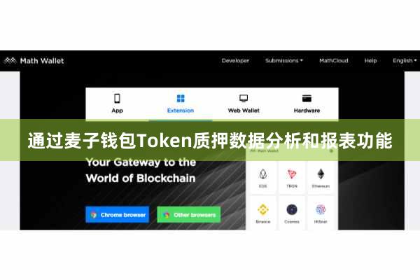 通过麦子钱包Token质押数据分析和报表功能