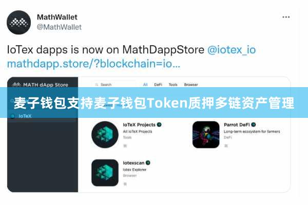 麦子钱包支持麦子钱包Token质押多链资产管理