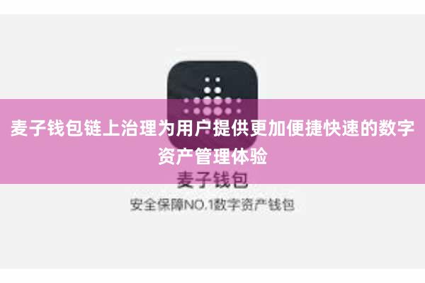 麦子钱包链上治理为用户提供更加便捷快速的数字资产管理体验