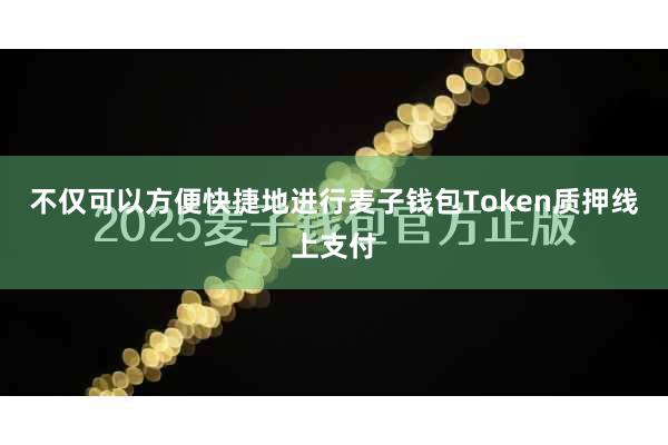 不仅可以方便快捷地进行麦子钱包Token质押线上支付