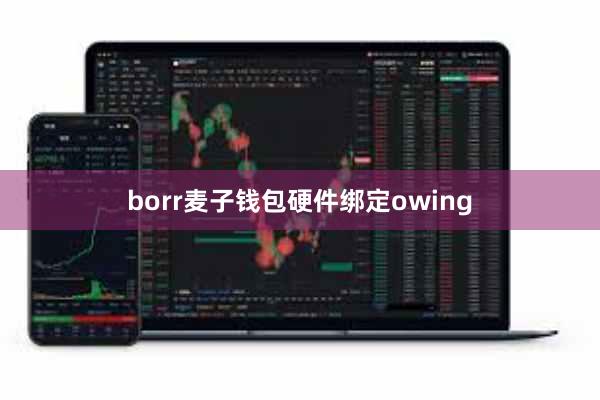borr麦子钱包硬件绑定owing