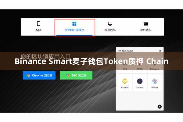 Binance Smart麦子钱包Token质押 Chain