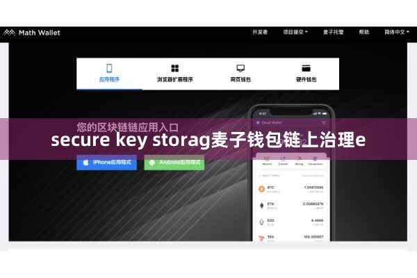 secure key storag麦子钱包链上治理e