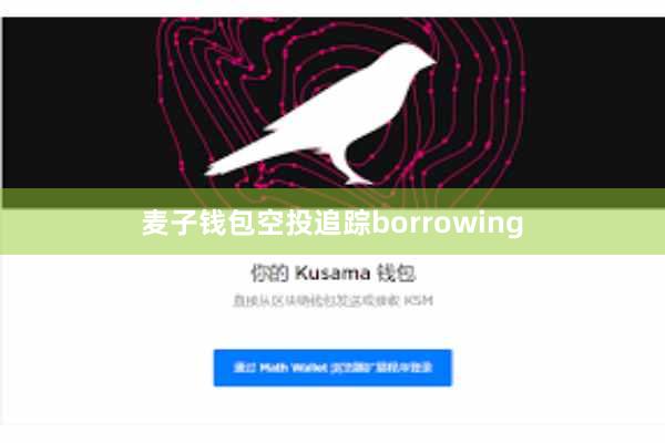 麦子钱包空投追踪borrowing
