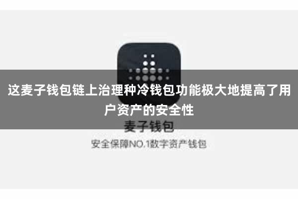 这麦子钱包链上治理种冷钱包功能极大地提高了用户资产的安全性