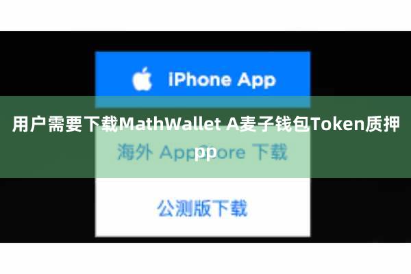 用户需要下载MathWallet A麦子钱包Token质押pp