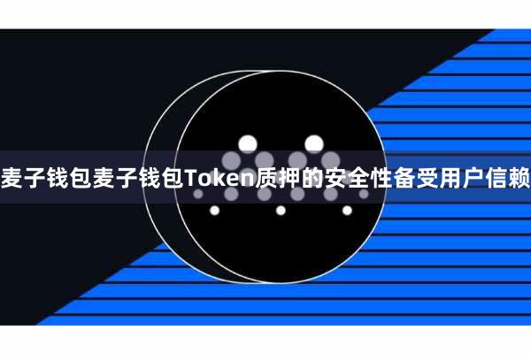 麦子钱包麦子钱包Token质押的安全性备受用户信赖