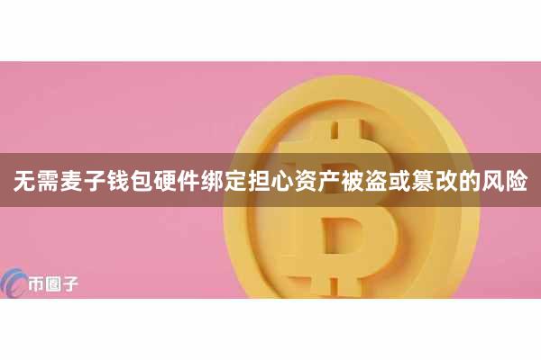 无需麦子钱包硬件绑定担心资产被盗或篡改的风险
