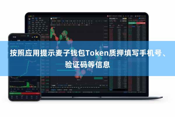 按照应用提示麦子钱包Token质押填写手机号、验证码等信息