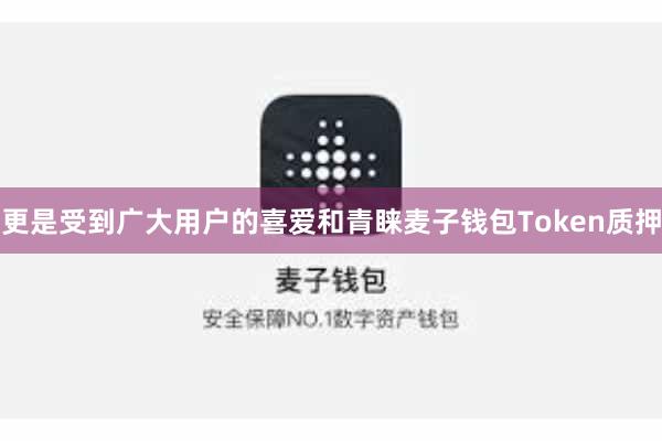 更是受到广大用户的喜爱和青睐麦子钱包Token质押