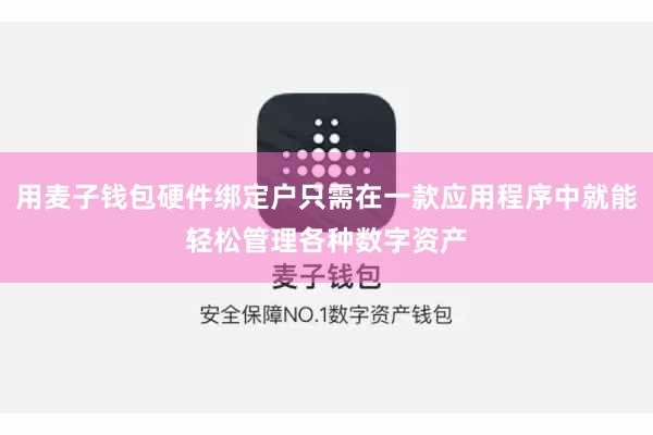 用麦子钱包硬件绑定户只需在一款应用程序中就能轻松管理各种数字资产