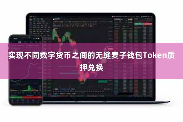 实现不同数字货币之间的无缝麦子钱包Token质押兑换