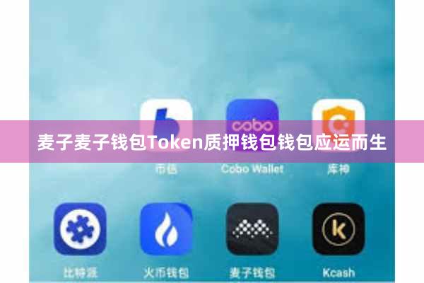 麦子麦子钱包Token质押钱包钱包应运而生