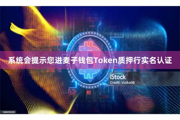 系统会提示您进麦子钱包Token质押行实名认证
