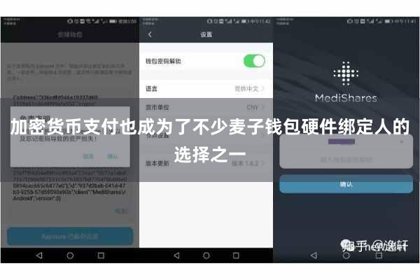 加密货币支付也成为了不少麦子钱包硬件绑定人的选择之一