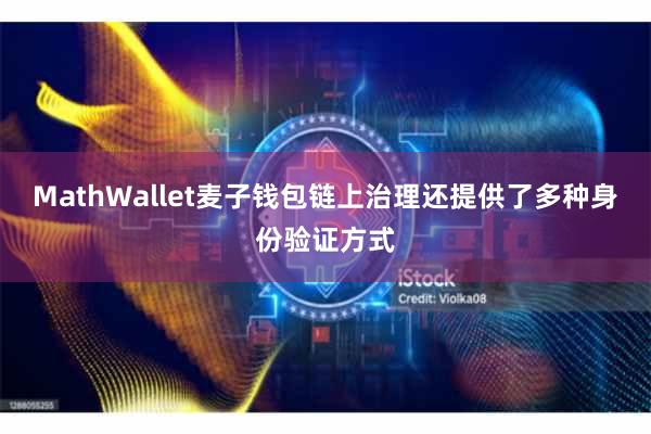 MathWallet麦子钱包链上治理还提供了多种身份验证方式
