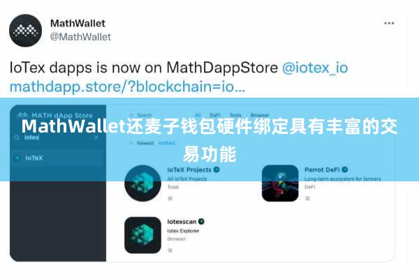 MathWallet还麦子钱包硬件绑定具有丰富的交易功能