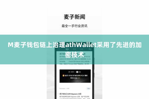 M麦子钱包链上治理athWallet采用了先进的加密技术